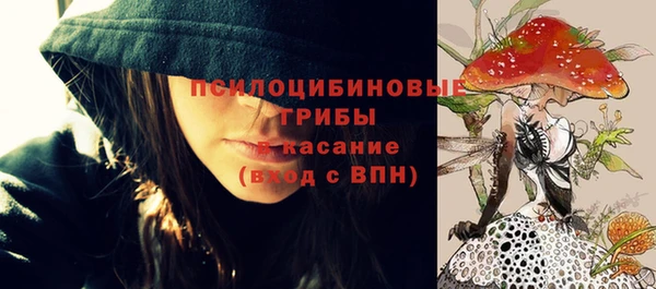 сатива Краснослободск