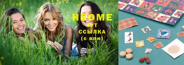 сатива Краснослободск