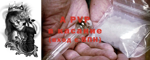 сатива Краснослободск